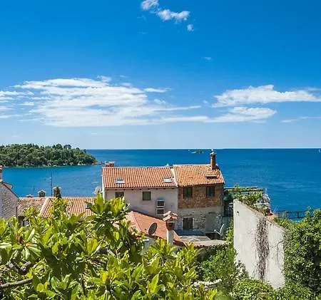 Monte With Jacuzzi Rovinj