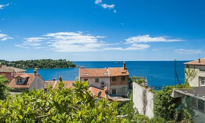 Monte With Jacuzzi Rovinj